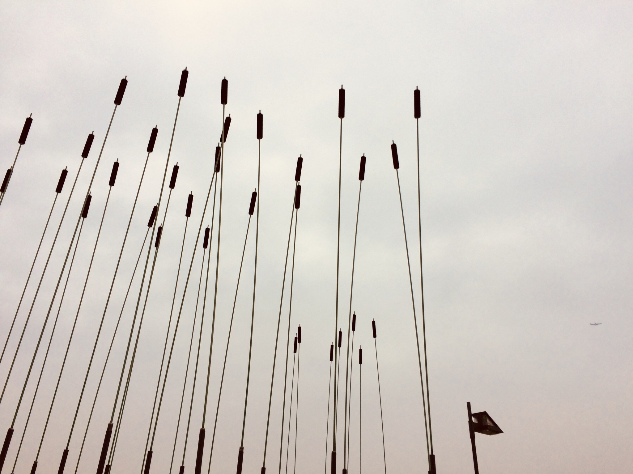 CE9906B2-B9BD-452E-8939-DC7F779822B2