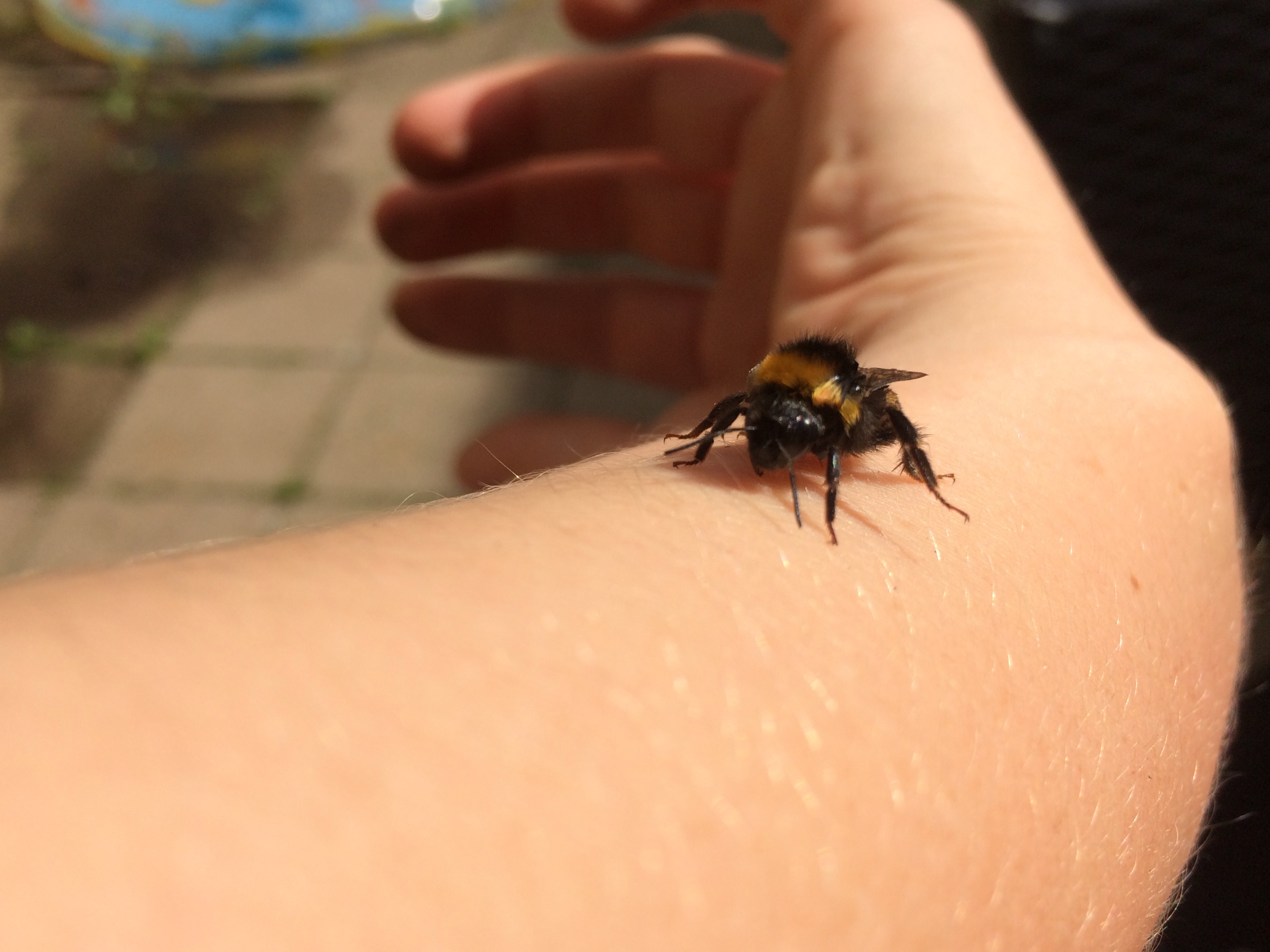 CDEF1E53-800D-43B8-B682-3EC51D62EC65