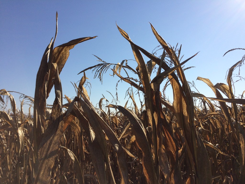 723A2B40-39E5-49E3-9A67-876BCA1A6EB4