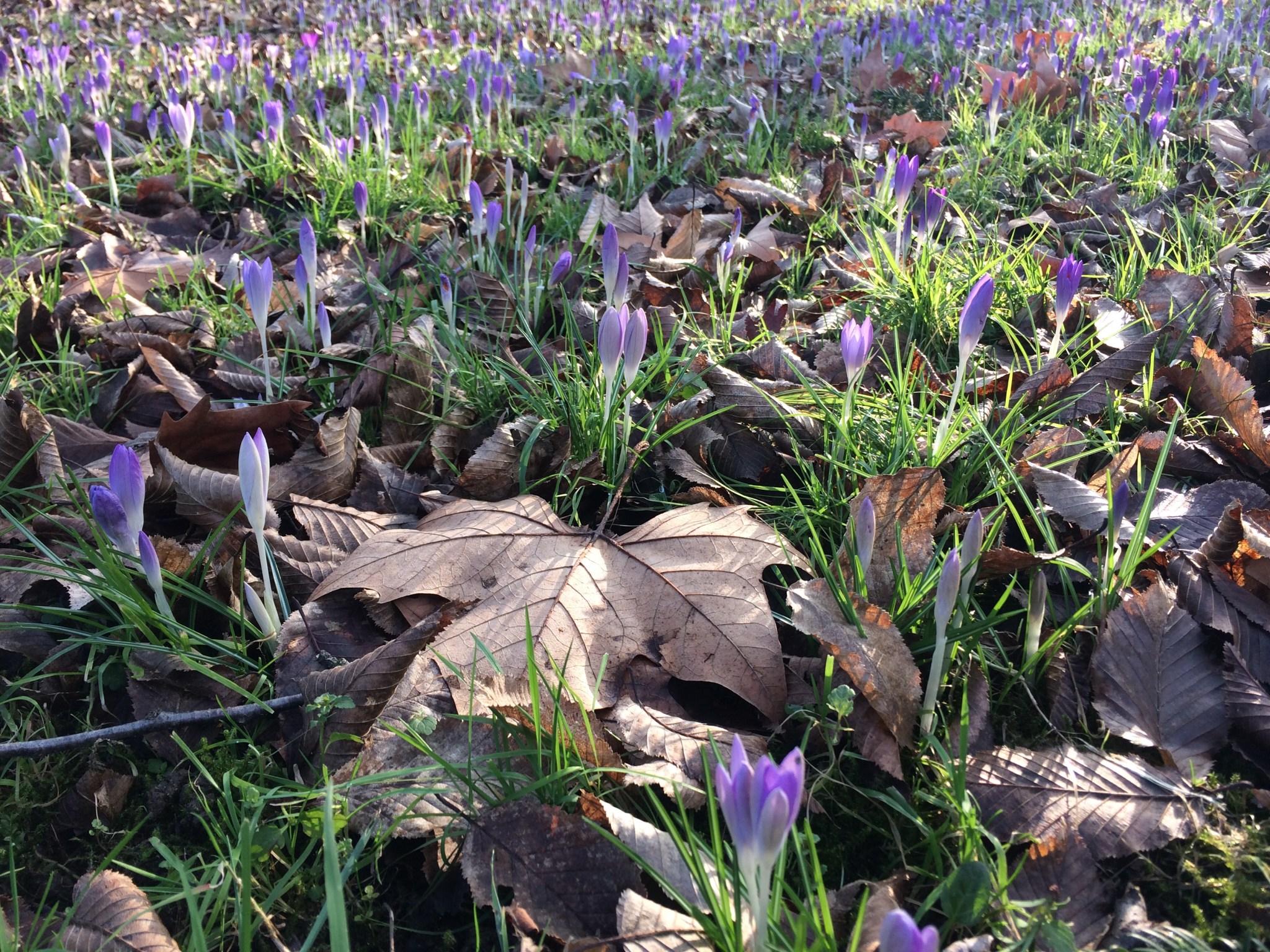 9DA5721D-7691-485E-B2D8-0AB05927F660