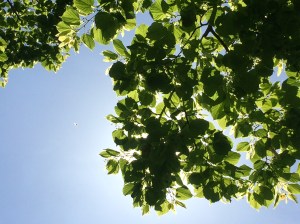 1483c28f-2d02-4add-b1fd-d86e90eb35dd