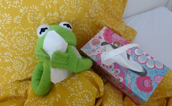 4FBB9297-E448-43FC-A19A-36D53D04533D