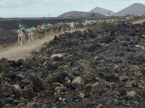 4A8CC066-1F32-4533-97CA-B98AAA348620