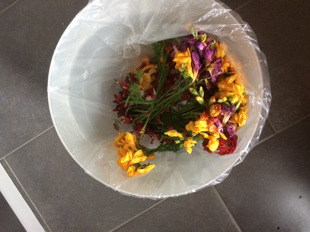 2FF8B7CE-28FD-4537-83AD-38BE9DE660FF