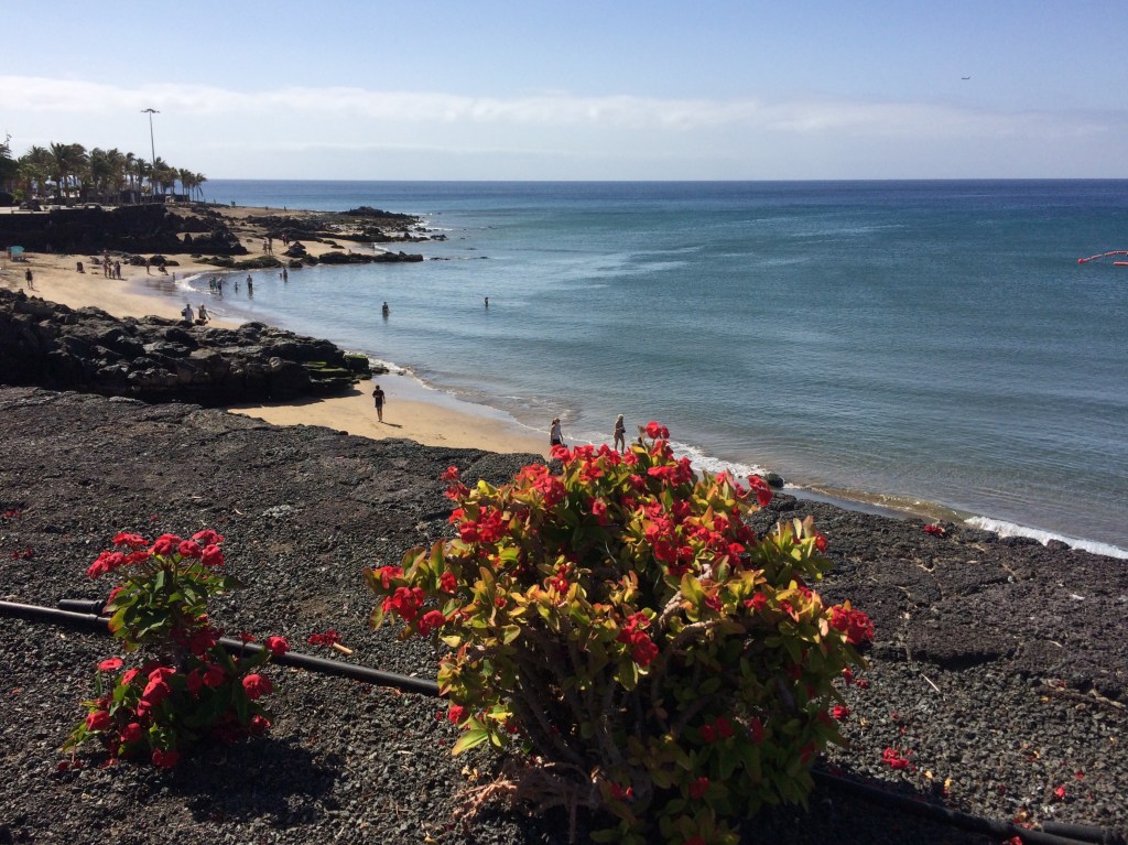 514CE43B-BEEC-421B-A789-5ABD21142D7A