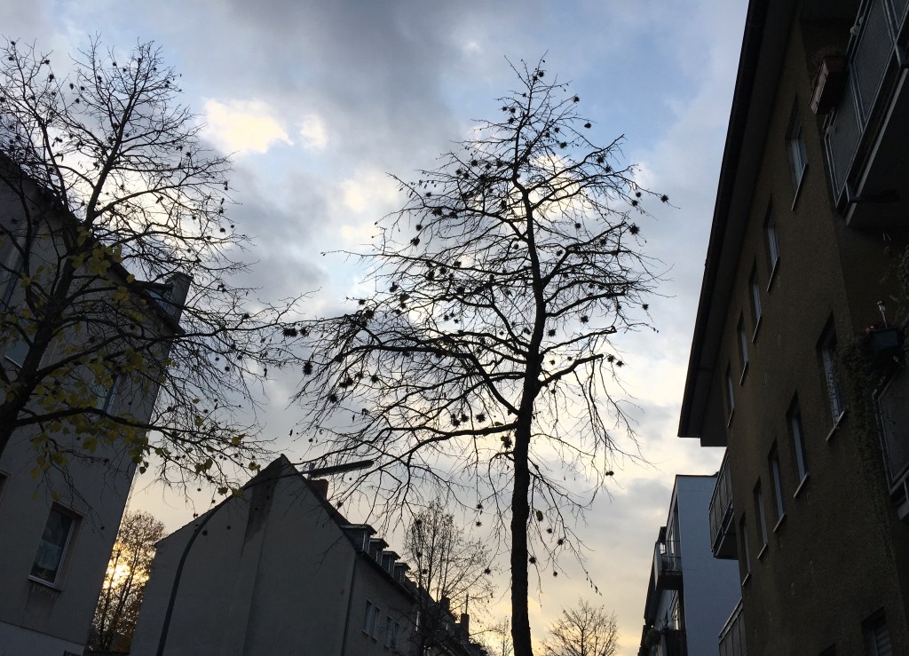 67BEF15F-BA00-4A6F-826A-AFAE41330408