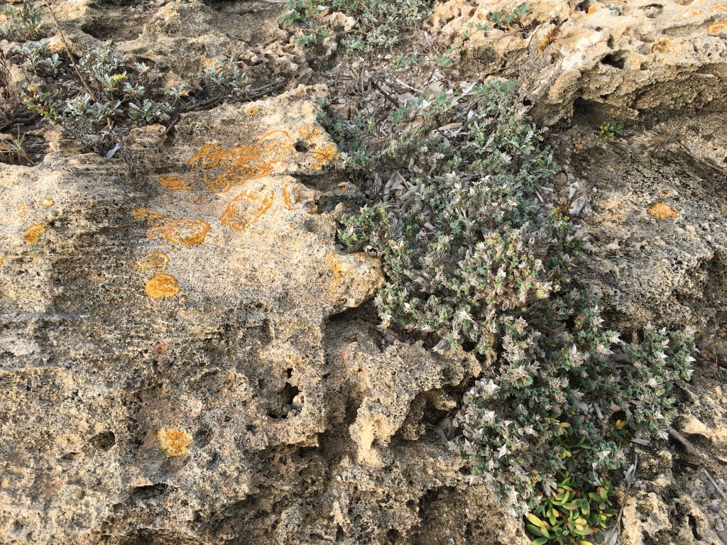 B5E1837B-6EAB-44E6-9961-6872F8E3E14F