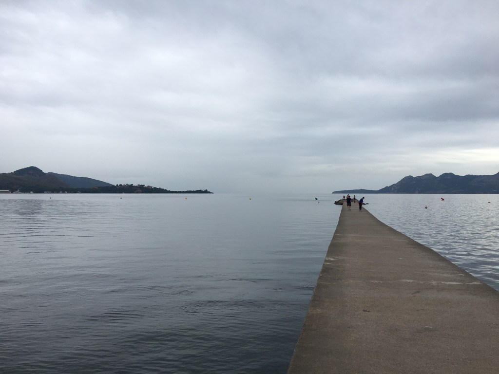 C42E7CF7-8831-4D7A-B369-A1E97BBBFD0F