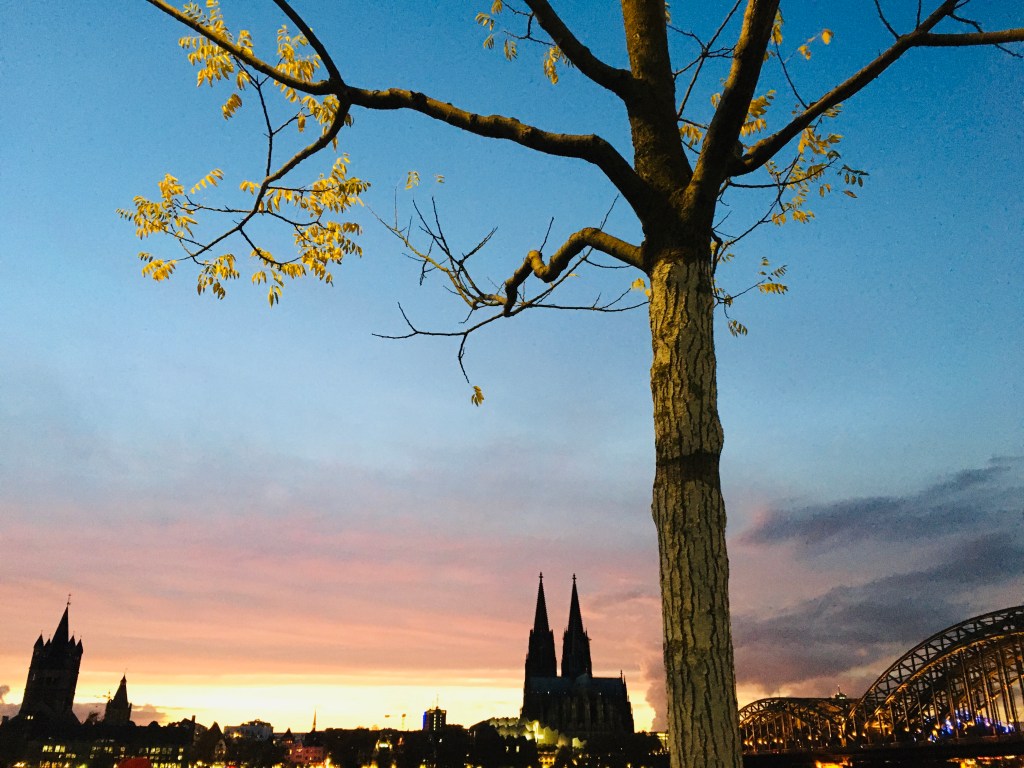 C4CF5DB8-CDFD-4CE7-9A95-CE2426DCC701