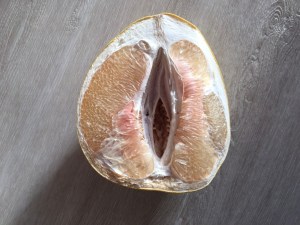 Aufgeschnittene Grapefruit, die wie eine Vulva aussieht.
