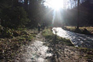 Familie auf Spazierweg im Wald an einem Bach entlang bei Sonnenschein.