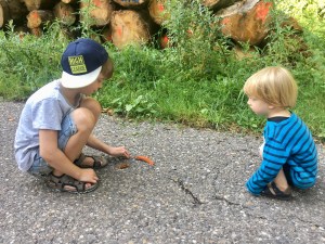 Zwei Kinder beobachten fasziniert eine Schnecke.