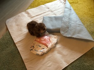 IEA Medical Bettunterlagen ausgelegt mit Windel und Kuscheltier.